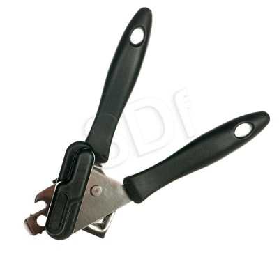 AGDFISGAR00273