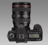 FOTCANAPL00272