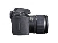 FOTCANAPL00433