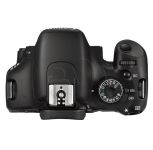 FOTCANAPL00463