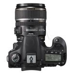 FOTCANAPL00542
