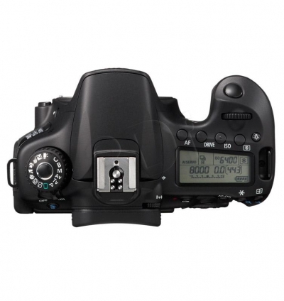 FOTCANAPL00562