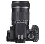 FOTCANAPL00633