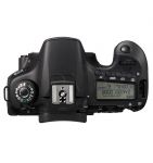 FOTCANAPL00682