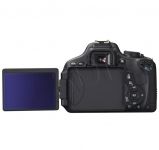 FOTCANAPL00712