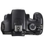 FOTCANAPL00812