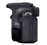 FOTCANAPL00813