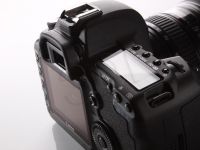 FOTCANAPL00883