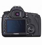 FOTCANAPL00893