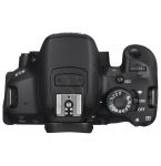 FOTCANAPL00902