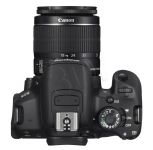 FOTCANAPL00913