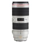 FOTCANAPL00946