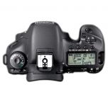 FOTCANAPL00952