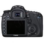 FOTCANAPL00953
