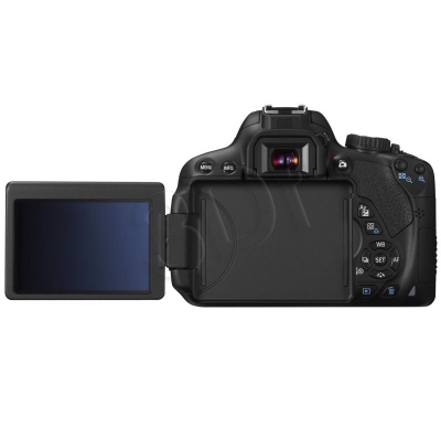 FOTCANAPL00973