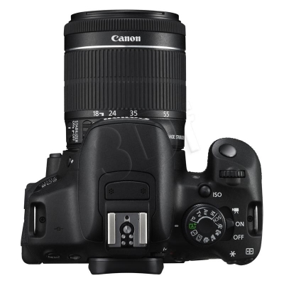 FOTCANAPL01063