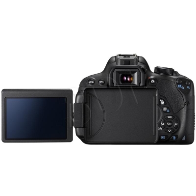 FOTCANAPL01064