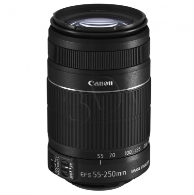 FOTCANAPL01066