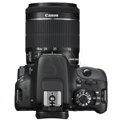 FOTCANAPL01073