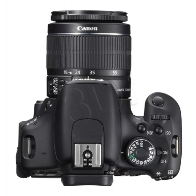 FOTCANAPL01143