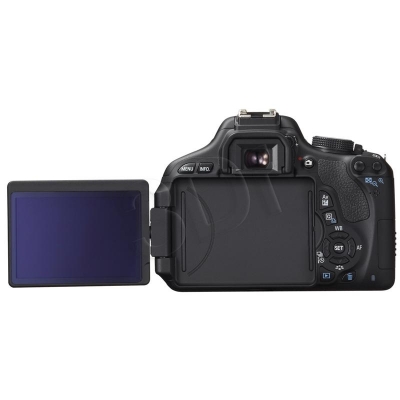 FOTCANAPL01144