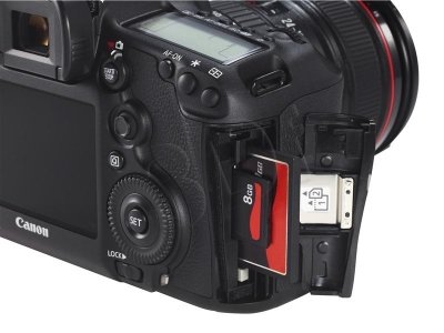 FOTCANAPL01173
