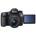FOTCANAPL01192