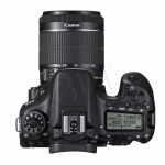 FOTCANAPL01193