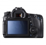FOTCANAPL01194