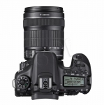 FOTCANAPL01202