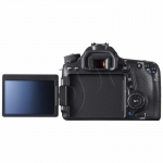 FOTCANAPL01203
