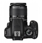 FOTCANAPL01213