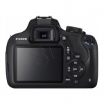 FOTCANAPL01214
