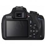 FOTCANAPL01224
