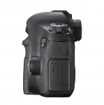 FOTCANAPL01233