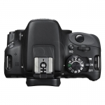 FOTCANAPL01302