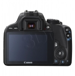 FOTCANAPL01303