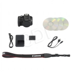 FOTCANAPL01304
