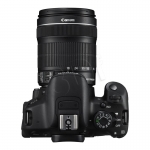 FOTCANAPL01313