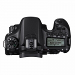FOTCANAPL01323
