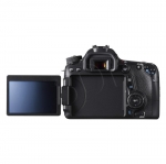 FOTCANAPL01324