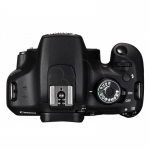 FOTCANAPL01333