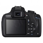 FOTCANAPL01334