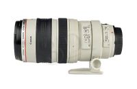 FOTCANOBI00262