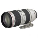 FOTCANOBI00434