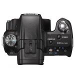 FOTSONAPL00503