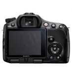 FOTSONAPL00554