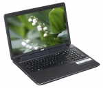 ACER E1-731G 2020M 4GB 17,3 500GB INT DOS