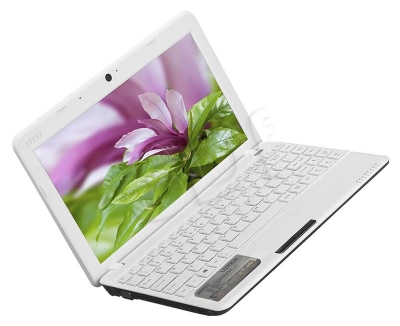 MSI U270DX-028XPL E2-2000 4GB 11,6 500 UMA BSY BIAŁY