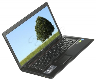 MSI GP70 2OD-050XPL i5-4200M 8GB 17,3 1TB GT740 BSY